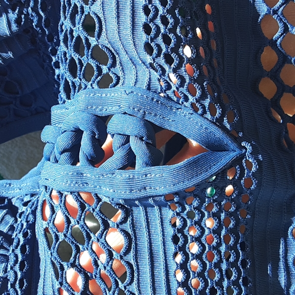 Bleu Rod Beattie sheer thing onepiece swimsuit - Picture 9 of 12